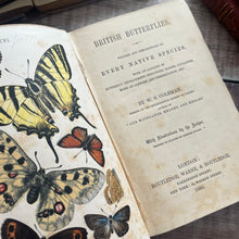 Load image into Gallery viewer, 1860 British Butterflies by WS Coleman Illustrated with Plates