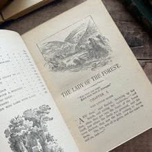 Load image into Gallery viewer, The Lady of the Forest by LT Meade Edwardian Book