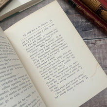 Load image into Gallery viewer, 1893 A Rose of a Hundred Leaves by Amelia E Barr Beautiful Floral Binding