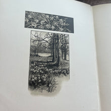 Load image into Gallery viewer, Through the Year; Spring, Summer, Autumn and Winter; Beautiful Illustrated Book