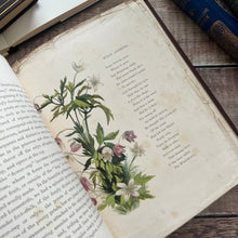 Load image into Gallery viewer, 1860 Common Wayside Flowers Illustrated by Birket Foster FIRST EDITION