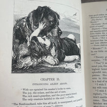 Load image into Gallery viewer, Aileen Aroon A Memoir; With Other Tales of Faithful Friends and Favourites; Victorian Book