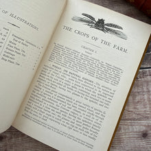 Load image into Gallery viewer, Corn, Roots, and Other Crops of the Farm; Illustrated Late Victorian Book