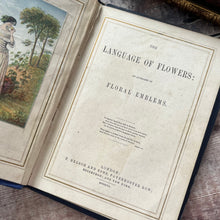 Load image into Gallery viewer, 1857 The Language of Flowers; An Alphabet of Floral Emblems; Illuminated Colour Plates