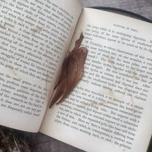 Load image into Gallery viewer, Wonders of the Waters; Circa 1846 Early Victorian Nature Book Illustrated
