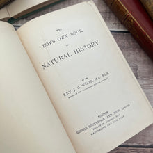 Load image into Gallery viewer, The Boy's Own Natural History Beautiful Cloth Binding Late Victorian Book
