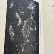 Load image into Gallery viewer, 1927 Winners in Life's Race by Arabella Buckley Illustrated Antique Book