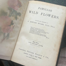 Load image into Gallery viewer, Familiar Wild Flowers Five Volumes; Half Leather Illustrated Set