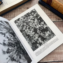Load image into Gallery viewer, Wild Flowers of Britain with Dust Jacket and One Hundred Photographs Antique Book
