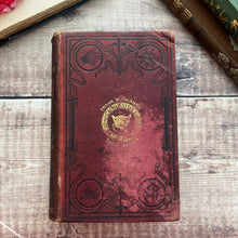 Load image into Gallery viewer, 1891 Curiosities of Natural History by Francis Buckland; Victorian Illustrated Book