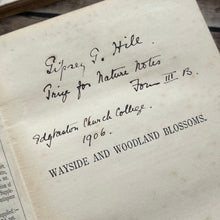 Load image into Gallery viewer, 1905 Wayside and Woodland Blossoms; Edwardian Illustrated Book (et)