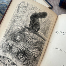 Load image into Gallery viewer, The Romance of Natural History by Philip Henry Gosse; Lovely Antique Book
