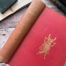 Load image into Gallery viewer, 1912 The Outdoor World or The Young Collector's Handbook by W Furneaux; Illustrated