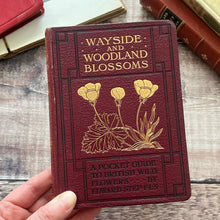 Load image into Gallery viewer, 1905 Wayside and Woodland Blossoms; Edwardian Illustrated Book (et)