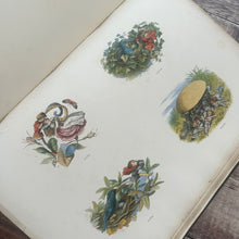 Load image into Gallery viewer, 1870 Rare First Edition of Fairyland; Pictures from the Elf World by Richard Doyle