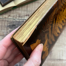 Load image into Gallery viewer, The Poetical Works of Campbell, Goldsmith and Gray Mauchline Fern Ware Book