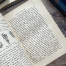 Load image into Gallery viewer, 1877 Sketches of Animal Life and Habits by Andrew Wilson; Illustrated Nature Book