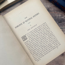 Load image into Gallery viewer, The Romance of Natural History by Philip Henry Gosse; Lovely Antique Book