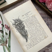 Load image into Gallery viewer, Familiar Wild Flowers Second Series by Edward Hulme; Half Leather Illustrated Book