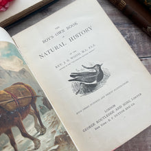 Load image into Gallery viewer, The Boy's Own Book of Natural History by Rev JG Wood; Jessie King Design Cover