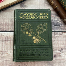 Load image into Gallery viewer, 1904 Wayside and Woodland Trees; A Pocket Guide to the British Sylva