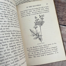 Load image into Gallery viewer, Flowers of the Farm by Arthur O Cooke; The Countryside Series Illustrated