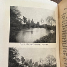 Load image into Gallery viewer, 1910 The Young People's Nature Study Book in Garden Field and Wood