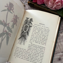 Load image into Gallery viewer, Familiar Wild Flowers Third Series by Edward Hulme; Half Leather Illustrated Book