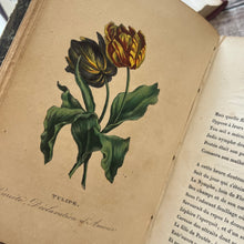 Load image into Gallery viewer, 1839 Nouveau Langage Des Fleurs; French Language of Flowers with Hand Coloured Plates