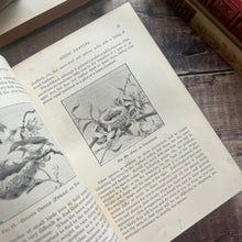 Load image into Gallery viewer, 1895 Country Pastimes for Boys Illustrated Nature Book
