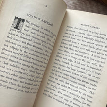 Load image into Gallery viewer, 1845 Flowers of The Matin and Even Song or Thoughts for Those Who Rise Early RARE