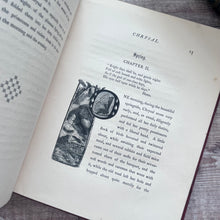 Load image into Gallery viewer, 1861 Chrysal A Story With an End by Frances Freeling Broderip; Illustrated Book