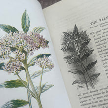 Load image into Gallery viewer, Familiar Wild Flowers Seven Volumes Bound as Four; Quarter Leather Illustrated Set