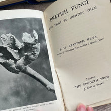 Load image into Gallery viewer, Two Volumes of Small Vintage Nature Books...British Fungi and Ferns