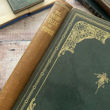 Load image into Gallery viewer, The Fairy Tales of Charles Perrault; Full Leather Deluxe Edition Illustrated by Harry Clark