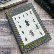 Load image into Gallery viewer, 1914 Common British Beetles by Rev Charles A Hall; Peeps at Nature Series First Edition