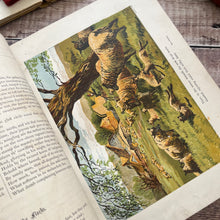 Load image into Gallery viewer, The Fields and The Woodlands Depicted by Painter and Poet; Victorian Book