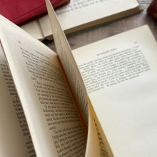 Load image into Gallery viewer, 1894 St Ronan's Well by Sir Walter Scott; AA Turbayne Binding Book