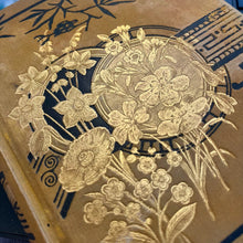 Load image into Gallery viewer, Wild Flowers and Where to Find And How to Know Them by Spencer Thomson