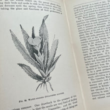 Load image into Gallery viewer, Fresh-water Aquaria Their Construction, Arrangement and Management Antique Book
