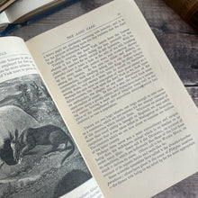 Load image into Gallery viewer, 1885 Strange Dwellings by J.G.Wood; Beautiful Illustrated Victorian Book