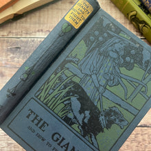 Load image into Gallery viewer, The Giants and How to Fight Them by Rev Richard Newton; Pictorial Binding