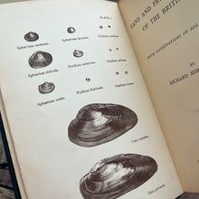 Load image into Gallery viewer, 1880 The Land and Freshwater Shells of the British Isles; Illustrated Victorian Book