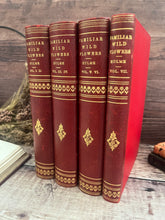 Load image into Gallery viewer, Familiar Wild Flowers Seven Volumes Bound as Four; Quarter Leather Illustrated Set