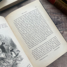 Load image into Gallery viewer, Beauties and Wonders of Vegetable Life; 19th Century Illustrated Book