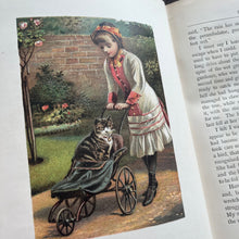 Load image into Gallery viewer, Puff the Pomeranian Beautiful Binding Victorian 19th Century Book