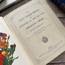 Load image into Gallery viewer, The Little Flower Seekers by Rosa Mulholland Beautiful Victorian Children's Book