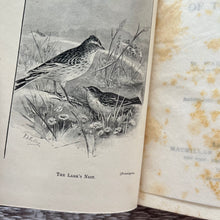 Load image into Gallery viewer, Tales of the Birds and More Tales of the Birds by W Warde Fowler Antique Two Volume Books Edwardian