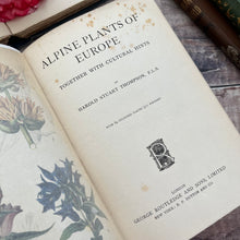 Load image into Gallery viewer, 1911 Alpine Plants of Europe by H.S.Thompson; Antique Floral Binding Book
