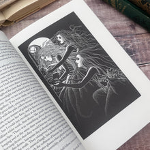 Load image into Gallery viewer, 2013 Dracula by Bram Stoker; Folio Society Hardback Book with Slipcase
